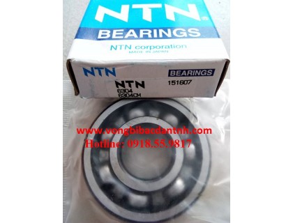 VÒNG BI-BẠC ĐẠN-DÊN-6304-NTN-NACHI-KOYO-FAG-NSK-NHẬT-ĐỨC-JAPAN-GREMANY-GIÁ RẺ